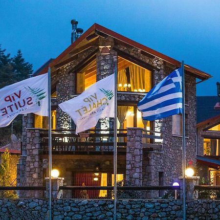Vip Chalet 4 Seasons Arachova Bagian luar foto