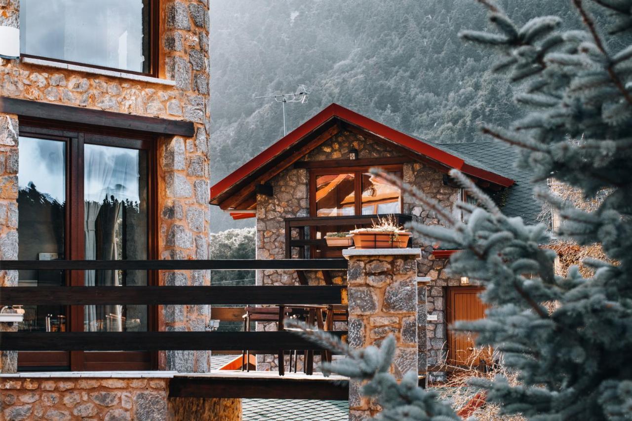Vip Chalet 4 Seasons Arachova Bagian luar foto