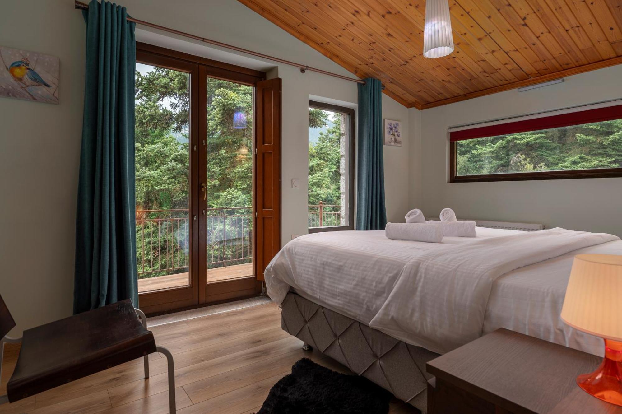 Vip Chalet 4 Seasons Arachova Bagian luar foto