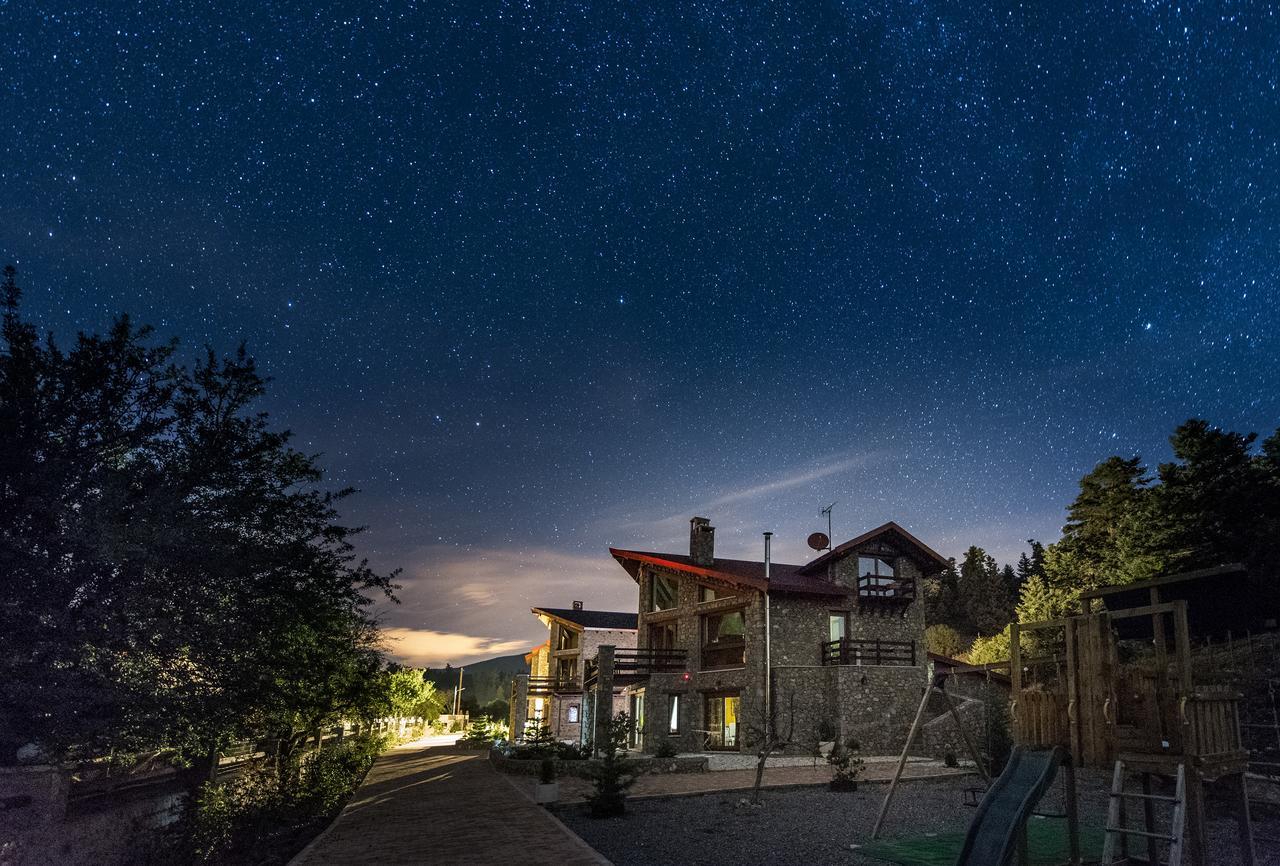Vip Chalet 4 Seasons Arachova Bagian luar foto